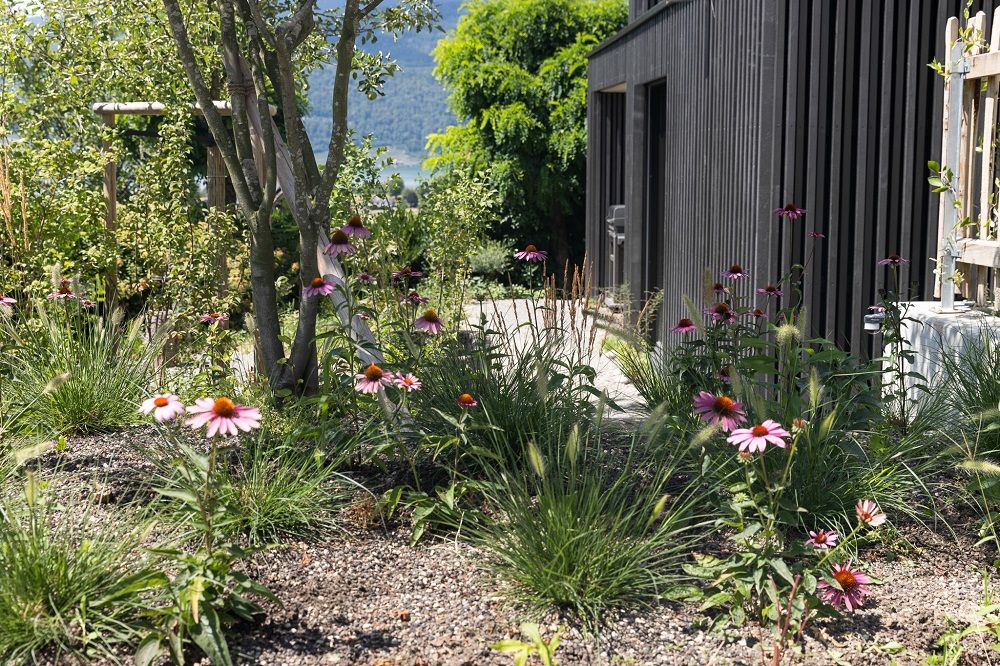 Naturgarten_Begrünung_Gartenplanung_Biodiversität.jpg